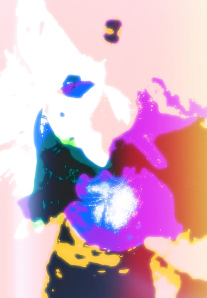 Warp Experiement Project (22)